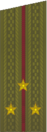 погоны 1969