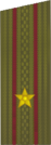 погоны 1969