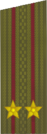 погоны 1969