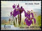 Russia stamp 2007 № 1199.jpg