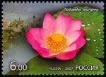 Russia stamp 2007 № 1201.jpg