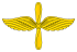 Russian Air Force branch insignia.svg