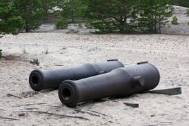 60-фунтовые пушки на берегу острова Готска-Сандён, оставленные там после того как клипер «Всадник» наскочил на камни