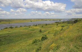 RybnoeDistrict 06-13 Konstantinovo Oka River 02.jpg