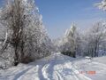 Поселок Пиркули зимой.