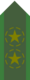 SWE-Army-OR5a.png