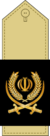 Brigadier General