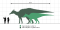 Сравнение размеров человека и разных видов завролофов