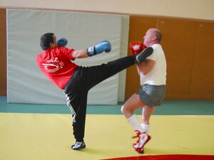 Savate fouetté figure 1.JPG