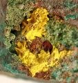 Cкупит — псевдоморфоз резерфордина из шахты Мусоной, Катанга, Демократическая Республика Конго (3.5×3.1×2.5 см)