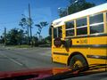 Знак остановки школьного автобуса, обязательный в США