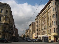 Вид на улицу с Малодетскосельского проспекта