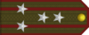 Senior Colonel rank insignia (North Korean secret police).png
