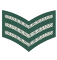 Нашивка сержанта армии Шри-Ланки