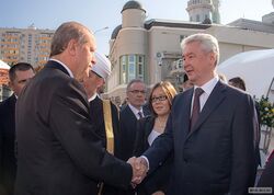 Sergey Sobyanin and Recep Tayyip Erdoğan.jpg
