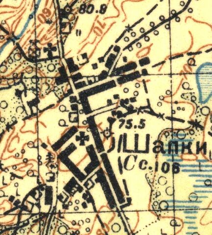 План села Шапки. 1931 год