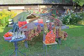 Продажа местных сельхозпродуктов на «Луковом пути»