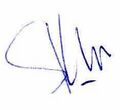 Signature of Ilya Yashin.jpg