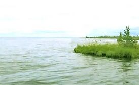 Синдорское озеро, на его поверхности видна торфяно-растительная кочующая сплавина.