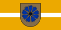Флаг (2010-2021)