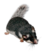 SpectacledDormouse C.png