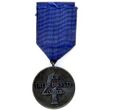 Изображение (реверс) медали за выслугу лет в рядах СС 4-й степени за 4 года службы