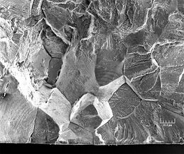 Микрография структуры аустенита в нержавеющей стали