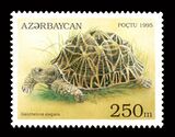 Звёздчатая черепаха на азербайджанской марке