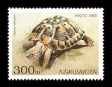Балканская черепаха на азербайджанской марке