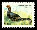 Самец кавказского тетерева на марке Азербайджана 1995 года