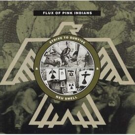 Обложка альбома Flux of Pink Indians «Strive To Survive Causing Least Suffering Possible» (1982)