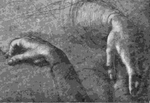 Леонардо да Винчи. Руки. Рисунок, сделанный (предположительно) для картины «Мона Лиза дель Джокондо». Ок. 1503 г. Бумага, красный мел. Виндзор, библиотека