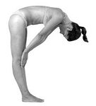 Sukha padahastasana.jpg