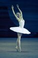 Светлана Лунькина в балете «Лебединое озеро», 2011