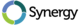 Логотип программы Synergy