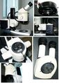Стереоскопический микроскоп