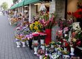 Цветочный ряд на улице Виру