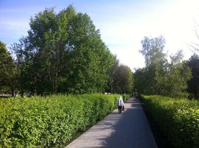Таллинский парк в районе Печатники в Москве, отремонтированная часть