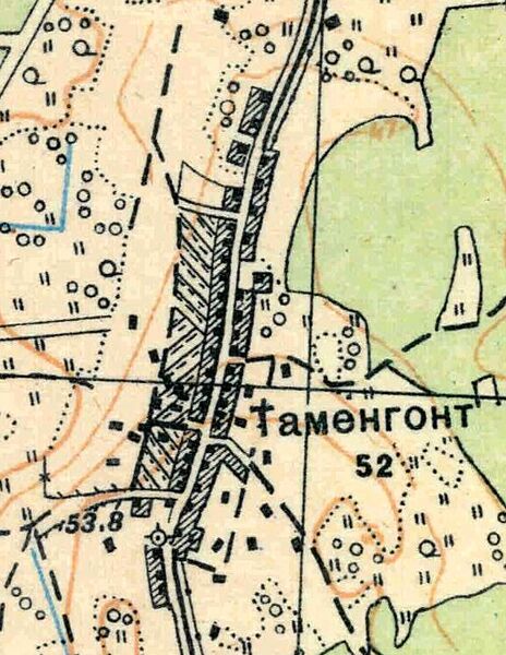 План деревни Таменгонт. 1931 год