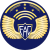 Tecnico jefe de comando fuerza aerea.svg