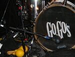 The Go-Gos - drum with logo.jpg