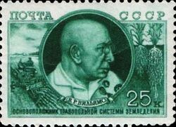 Почтовая марка СССР, 1949 год