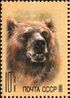 The Soviet Union 1988 CPA 5995 stamp (Brown bear).jpg