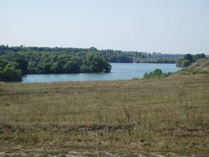 Ольшанка в районе города Ртищево