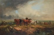 Коровы породы хайленд (1877)