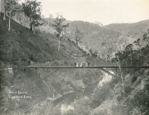 Мост через реку Томсон, ок. 1910 года
