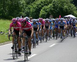 Пелотон гонщиков на шоссейной многодневной велогонке Тур де Франс