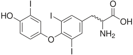 Трийодтиронин, наиболее активная форма тироидных гормонов
