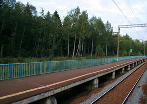 Troitskaya (near Istra) railplatform.jpg