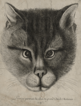 Портрет кота, жившего при дворе царя Алексея Михайловича. Работа Фредерика Мушерона, гравюра Вацлава Холлара.